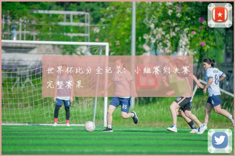 世界杯比分全记录：小组赛到决赛完整赛果